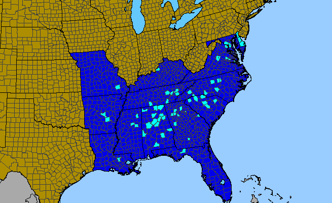 The range of Mahonia bealei